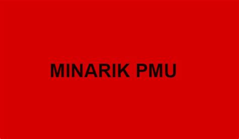 MINARIK PMU .